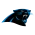 Carolina Panthers Logo